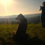 IMG-20230604-WA0002aangepast